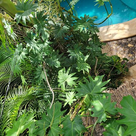 Apartament The Secret Garden Tulum Zewnętrze zdjęcie