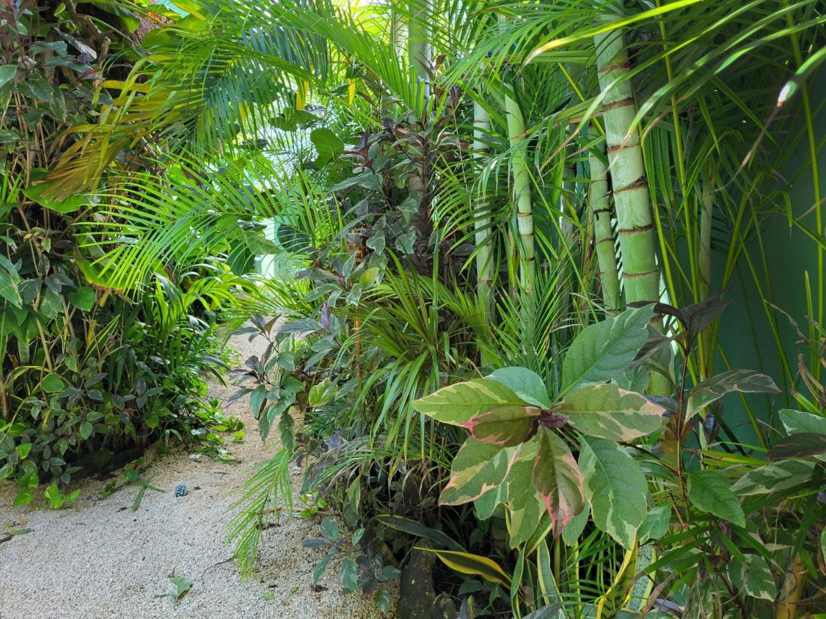 Apartament The Secret Garden Tulum Zewnętrze zdjęcie