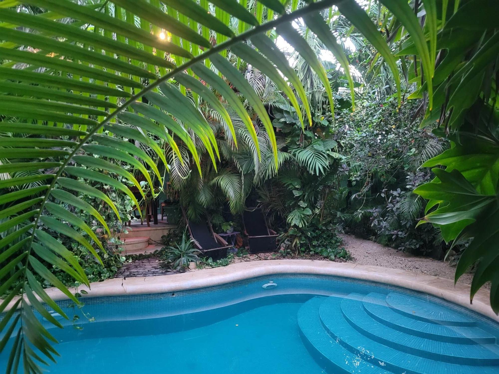 Apartament The Secret Garden Tulum Zewnętrze zdjęcie