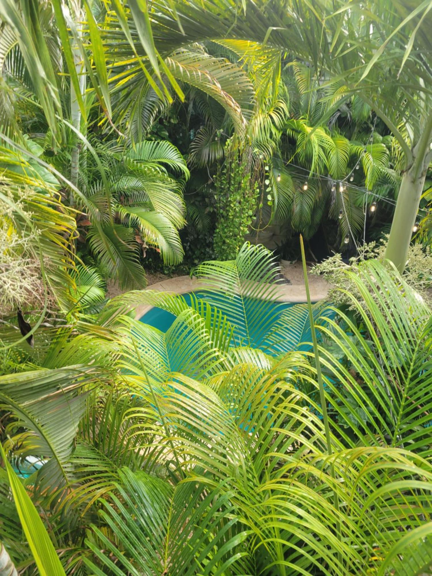 Apartament The Secret Garden Tulum Zewnętrze zdjęcie